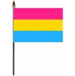 Pansexual 10 x 15 cm Stick Flag